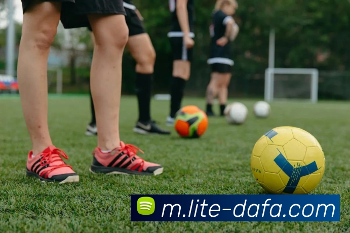 大发彩票平台生态图